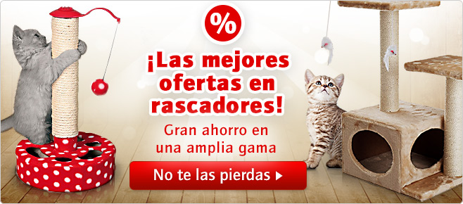 ofertas-rascadores