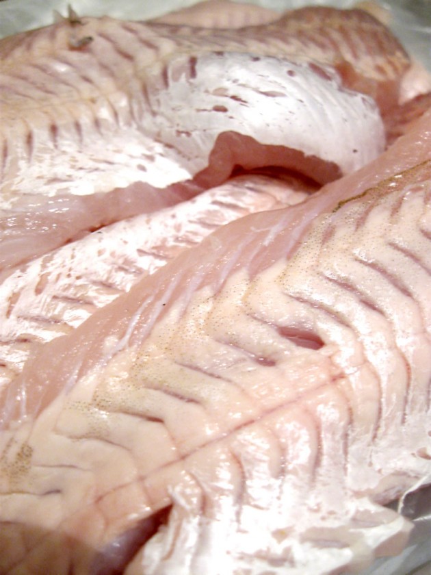 pescado